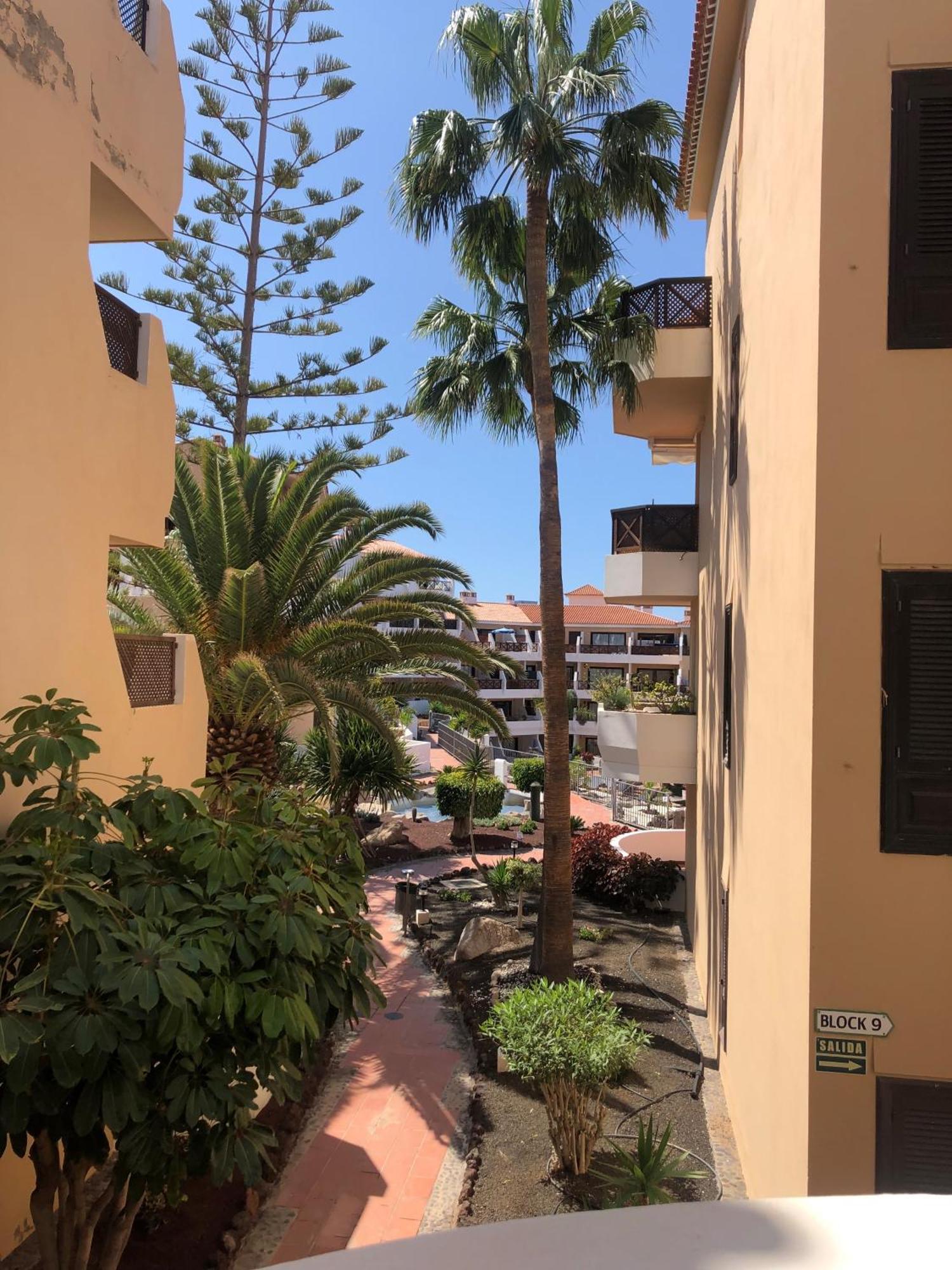 Apartamento Albatros Golf Del Sur Apt 257 San Miguel de Abona Zewnętrze zdjęcie